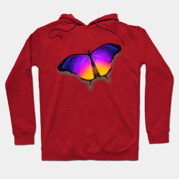 Colorful Butterfly Hoodie by LizzieBug